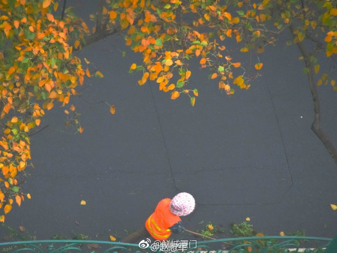 你愿轉發嗎？向這些“美麗花朵” 的環衛工人 ，致敬勞動者 [心]