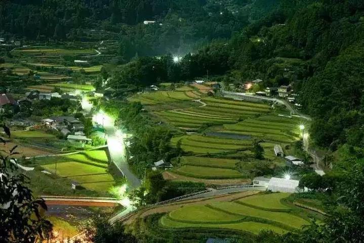 地球的故事 | 日本神奇小鎮(zhèn)15年零垃圾 老人靠撿樹葉就能致富