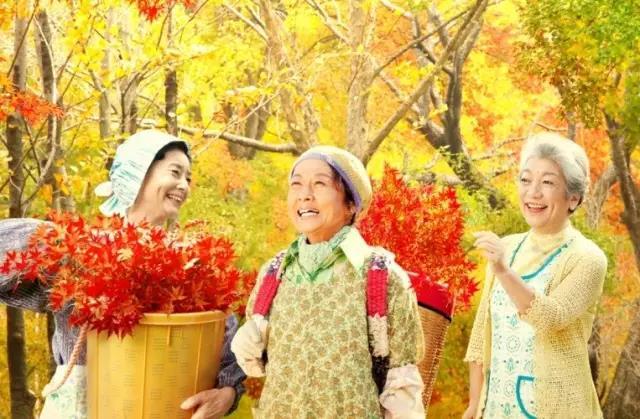 地球的故事 | 日本神奇小鎮(zhèn)15年零垃圾 老人靠撿樹葉就能致富