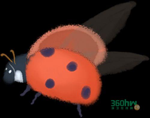 d11345fa-a5f2-4c35-bc6f-ee1922f29f14.png