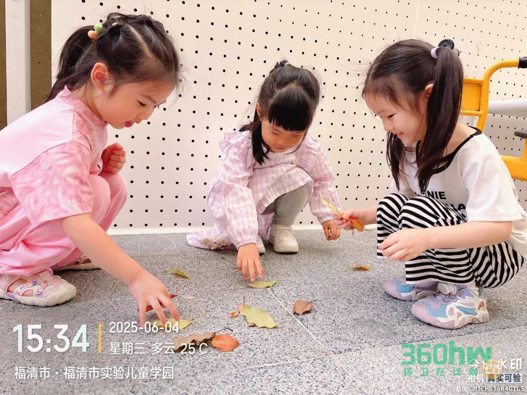 fd49485e-1663-4aec-b1bf-690a421339a2.jpeg