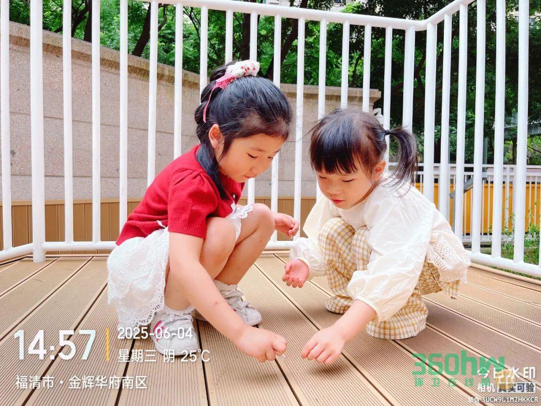 d5b7e171-b76f-48c9-a4bc-d4f32c57e907.jpeg