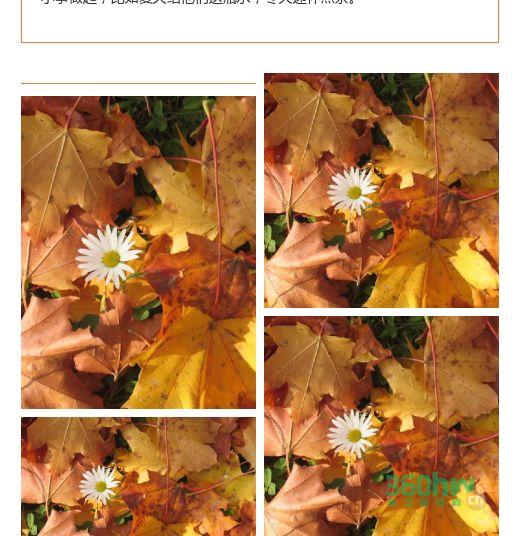 63811ff6-eec4-466a-b897-97861fc5632a.png
